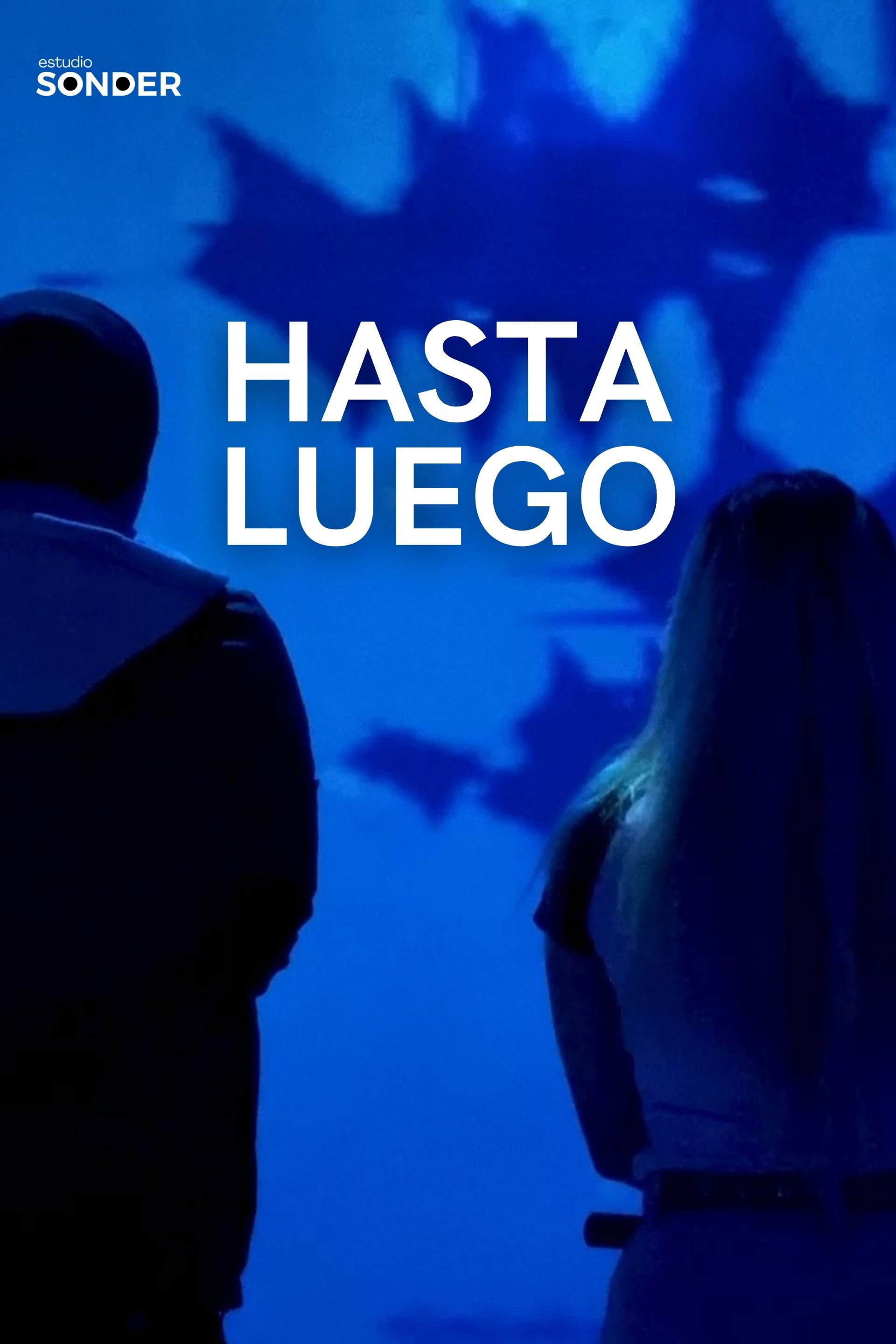 Hasta Luego