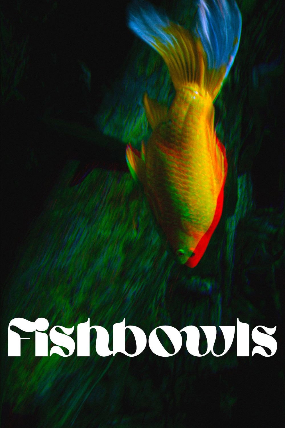 Fishbowls