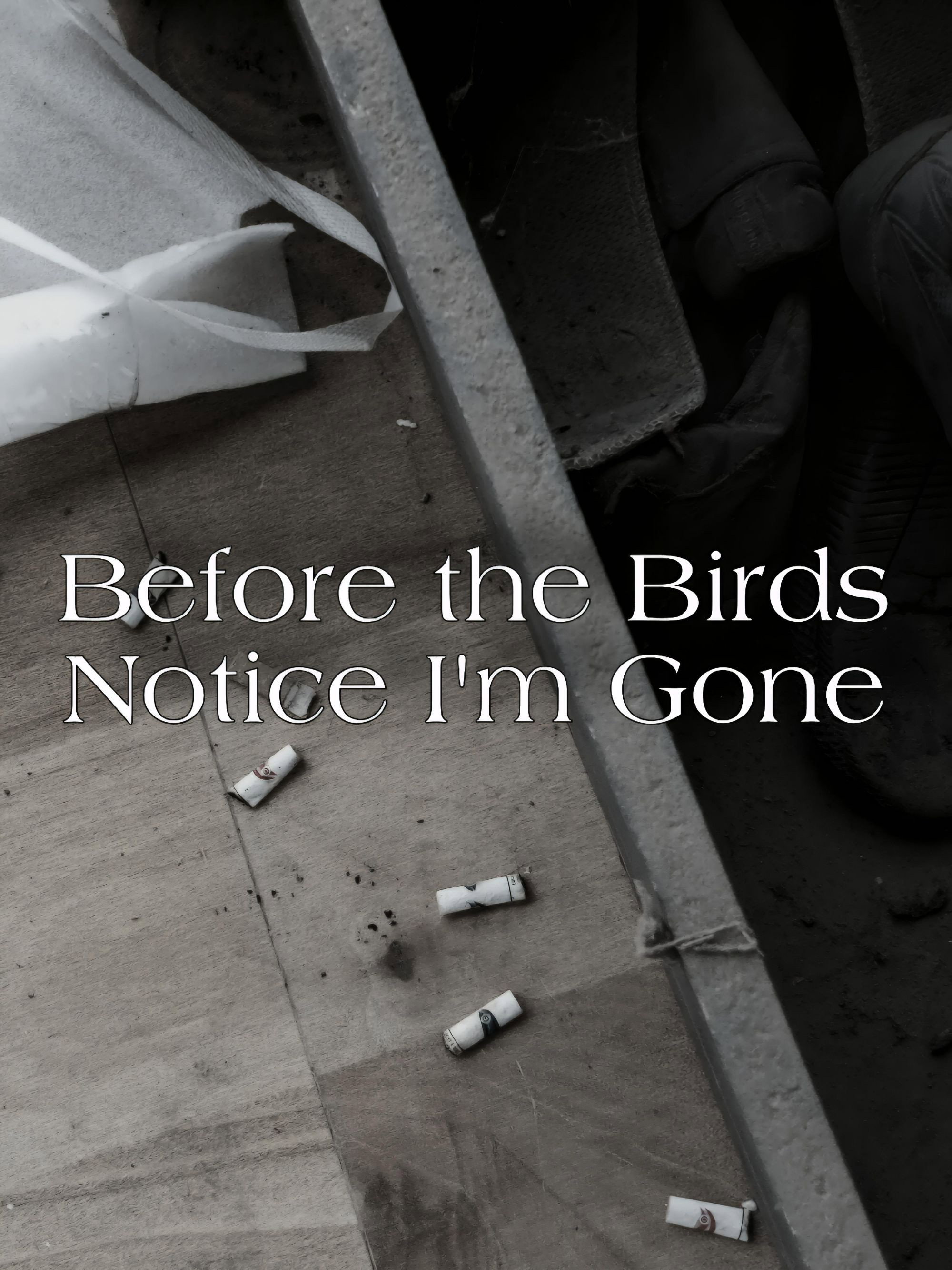 Before the Birds Notice I am Gone