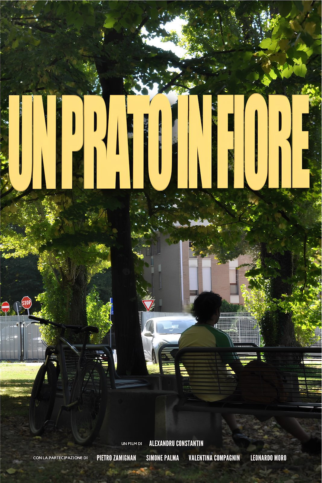 Un prato in fiore