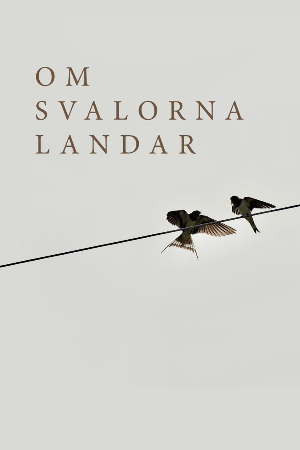 Om svalorna landar
