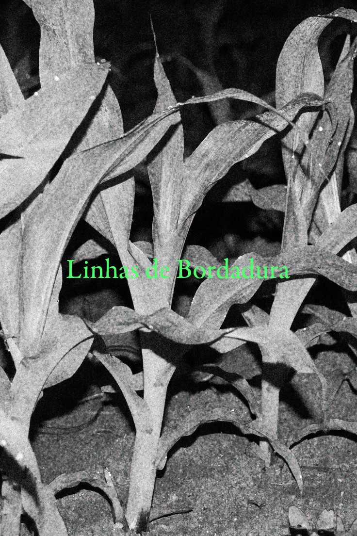 Linhas de Bordadura