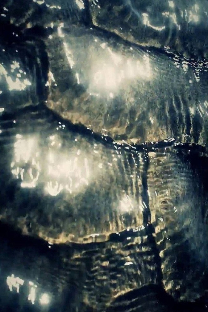 Ocean