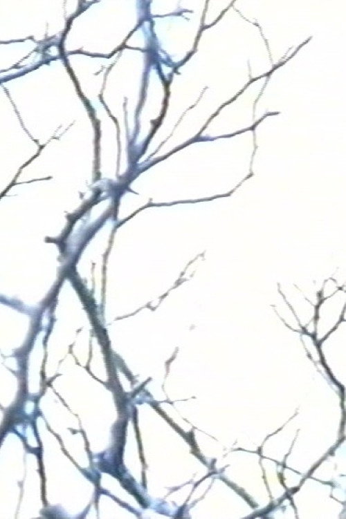 Stereo #0 - 30 drones for television - Drone 15