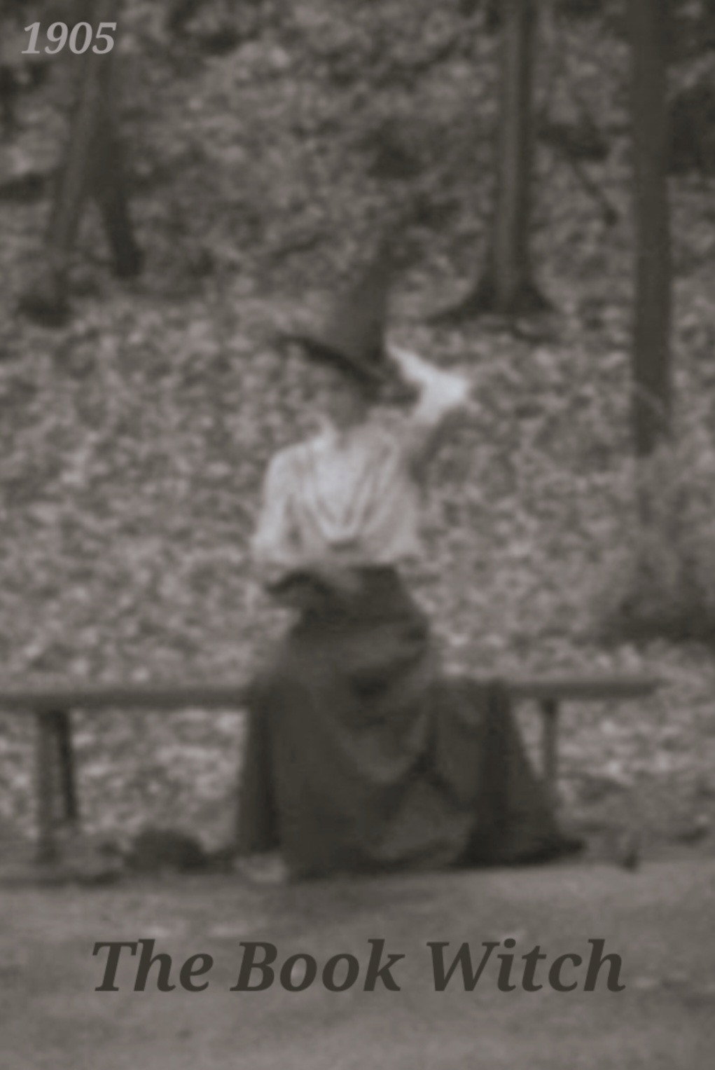 The Book Witch