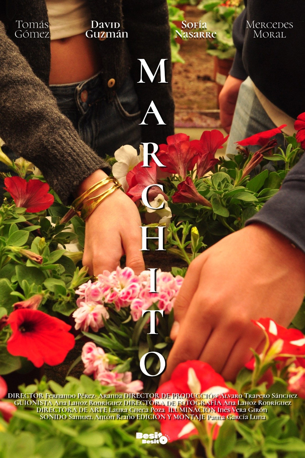 Marchito