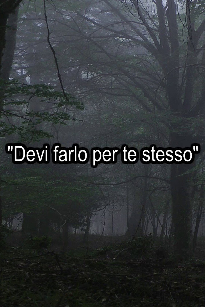 Trilogia dell'obbedienza