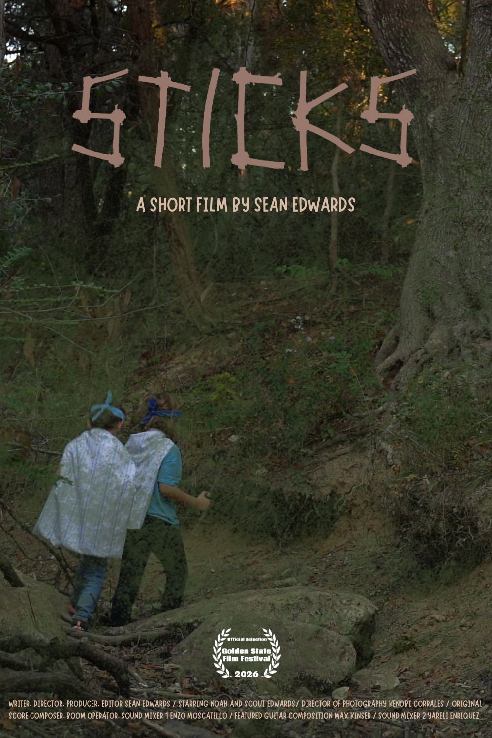 Sticks