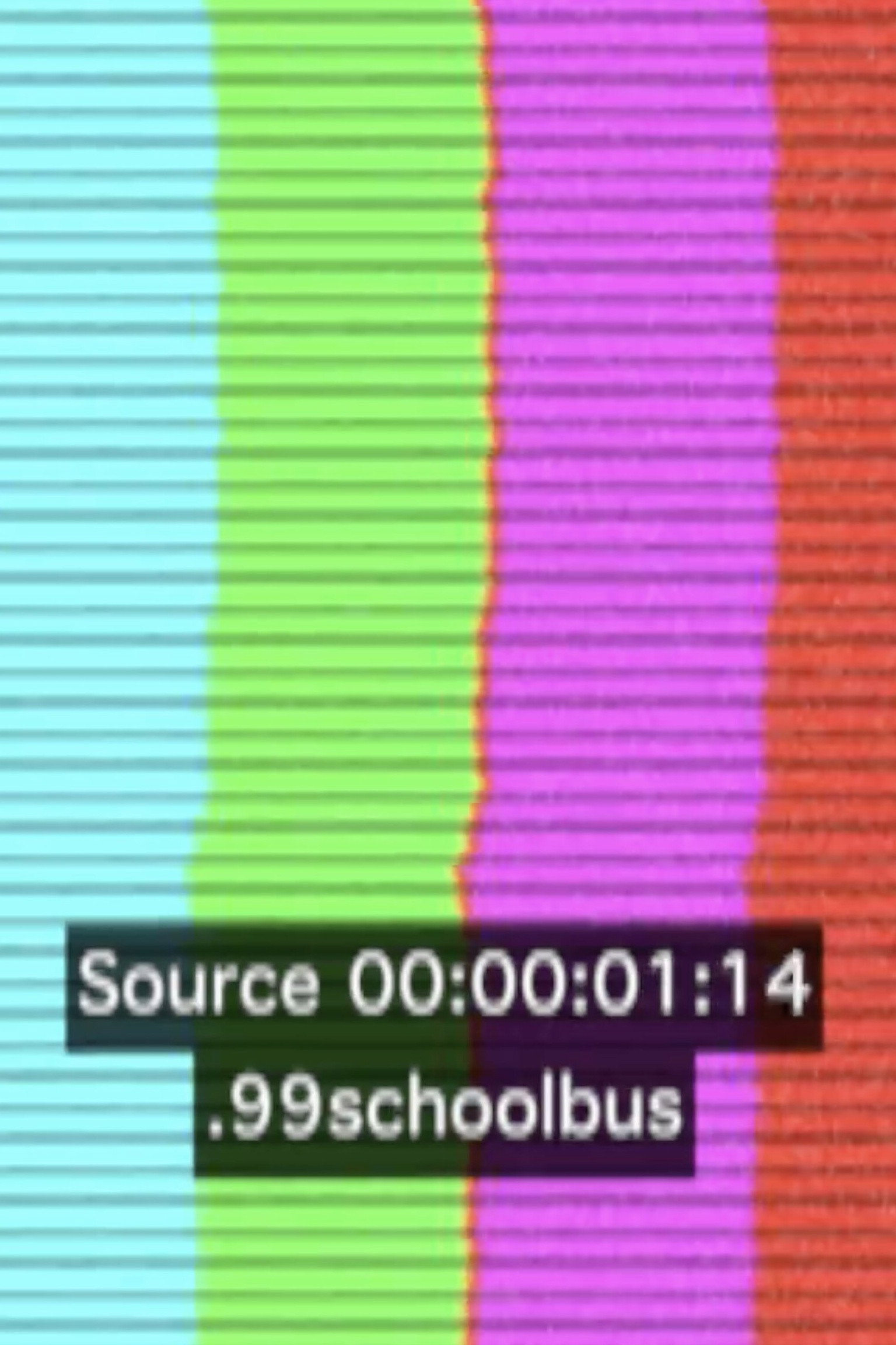 .99schoolbus