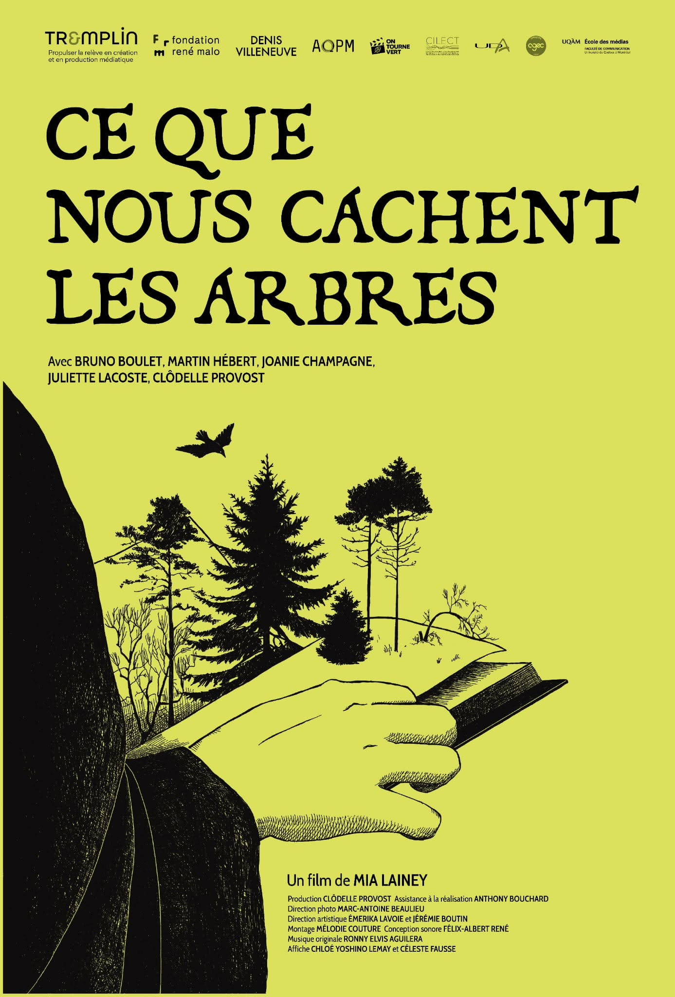 Ce que nous cachent les arbres
