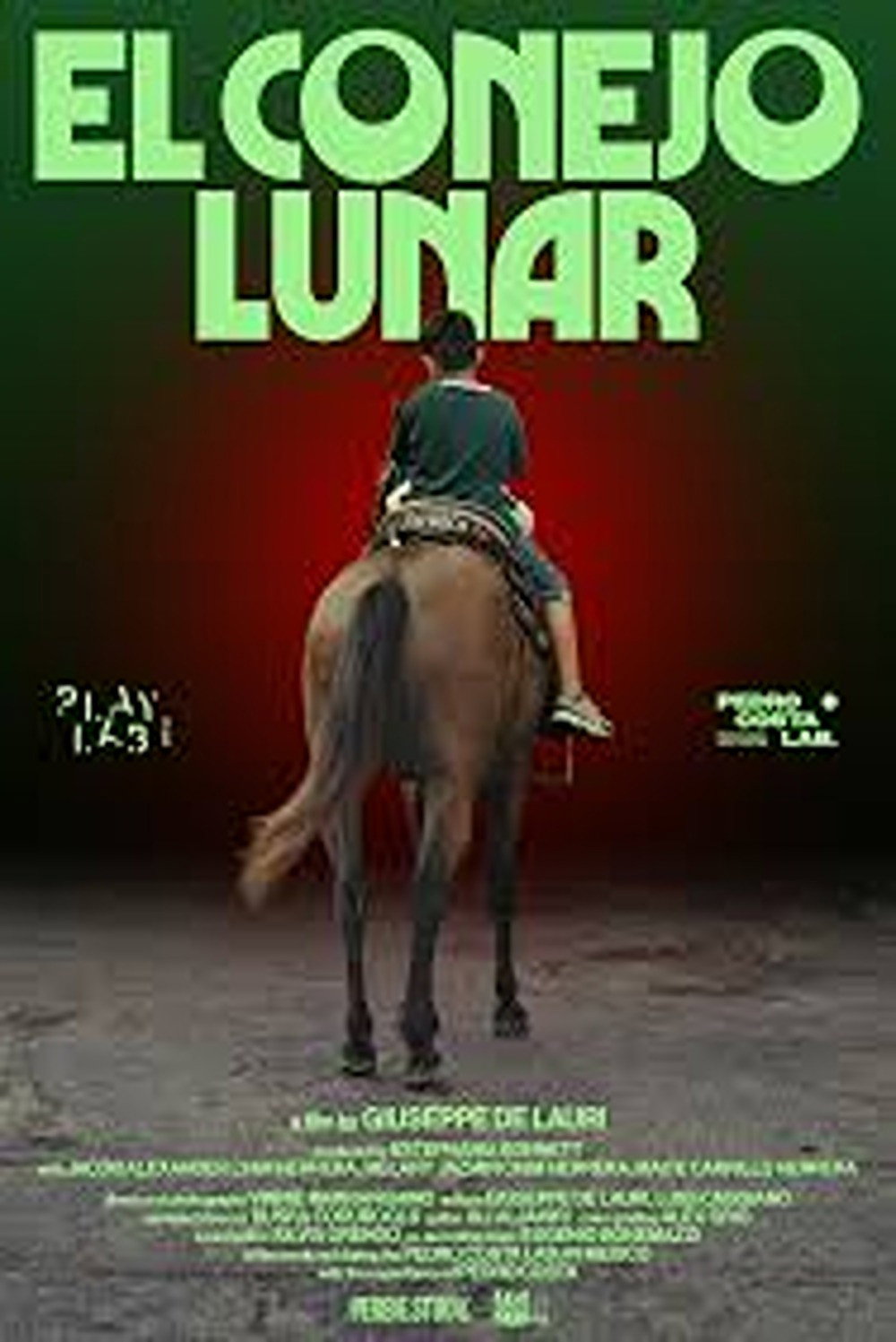 El conejo lunar