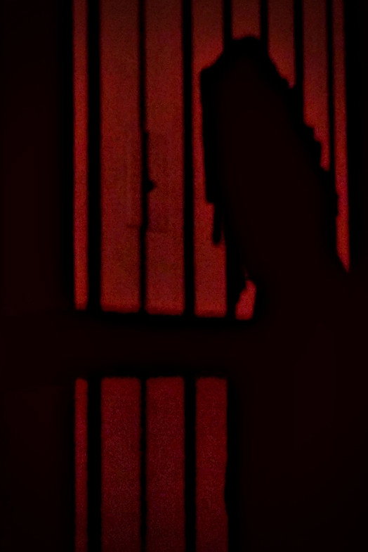 Shadows Came Calling