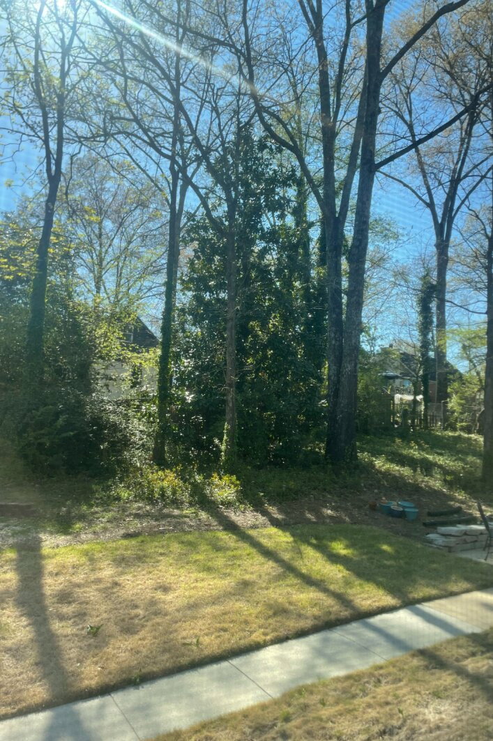 Broad Daylight