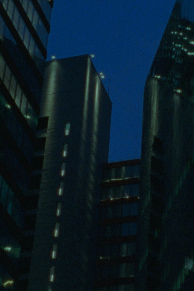 你的城市
