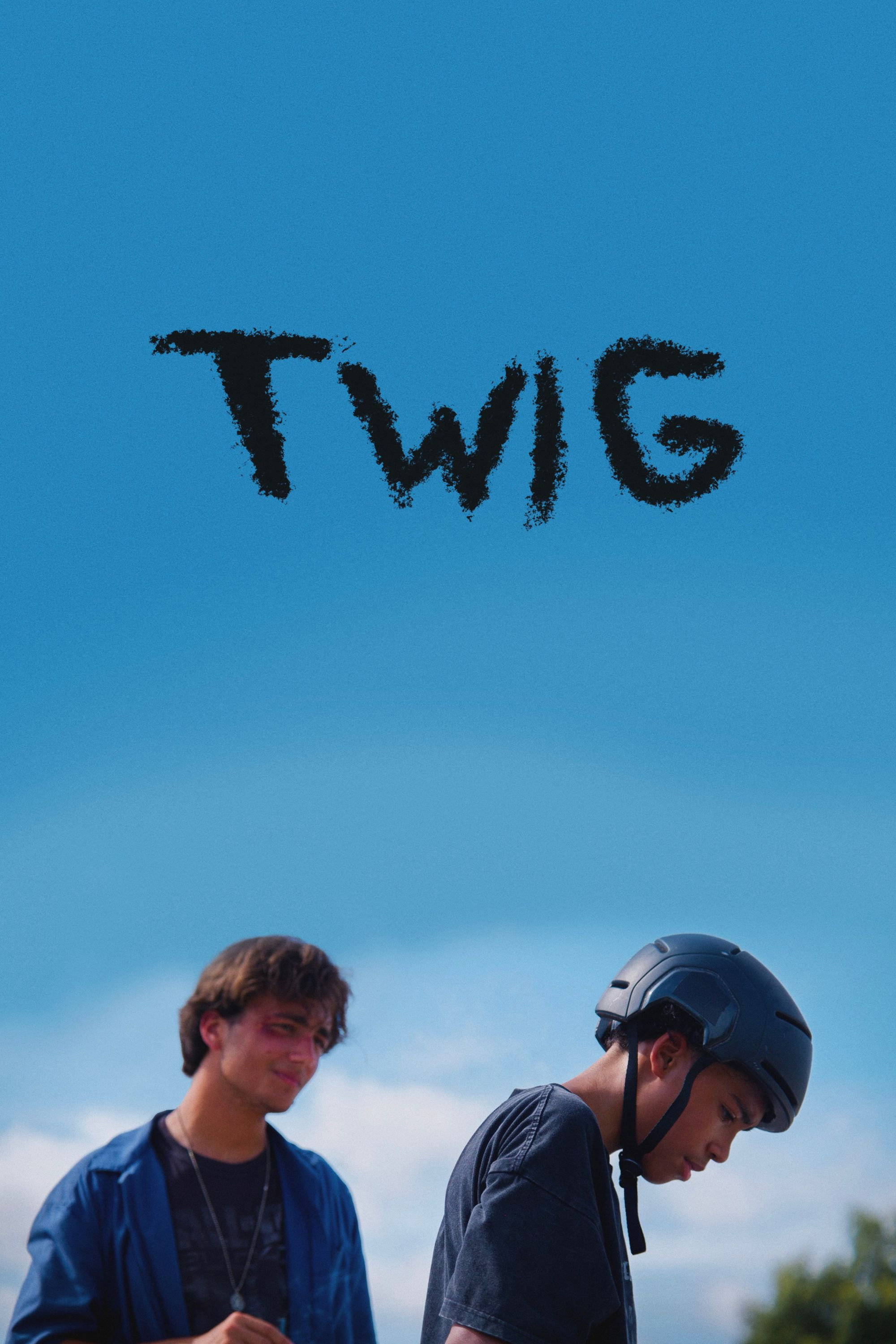 Twig