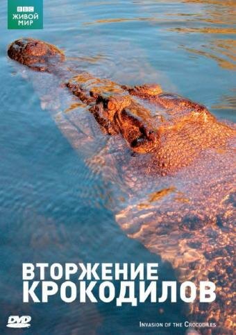 Invasion of the Crocodiles