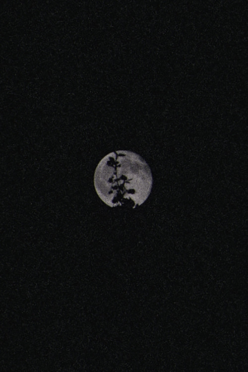 Lunar Visions II