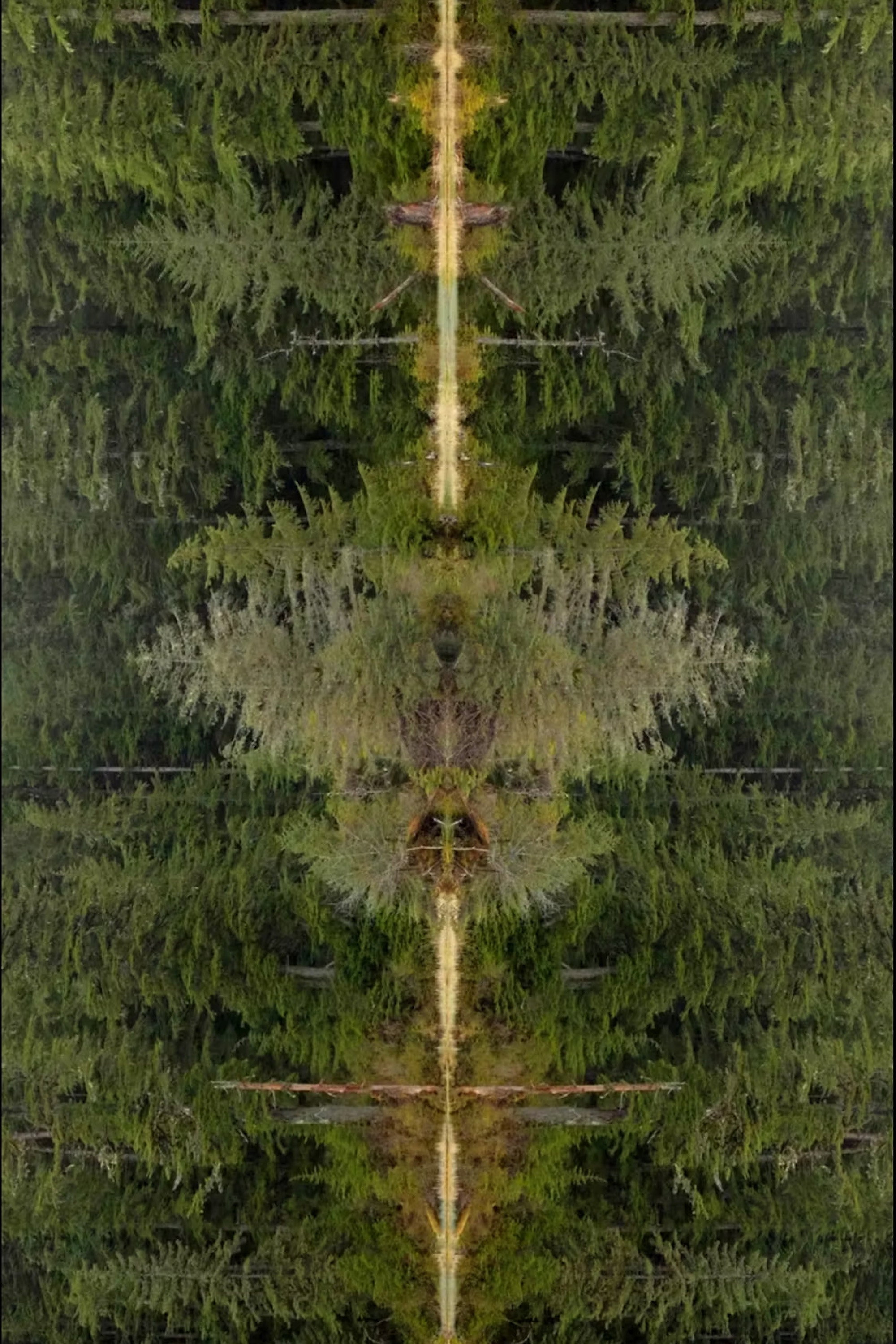 Mirrorpond