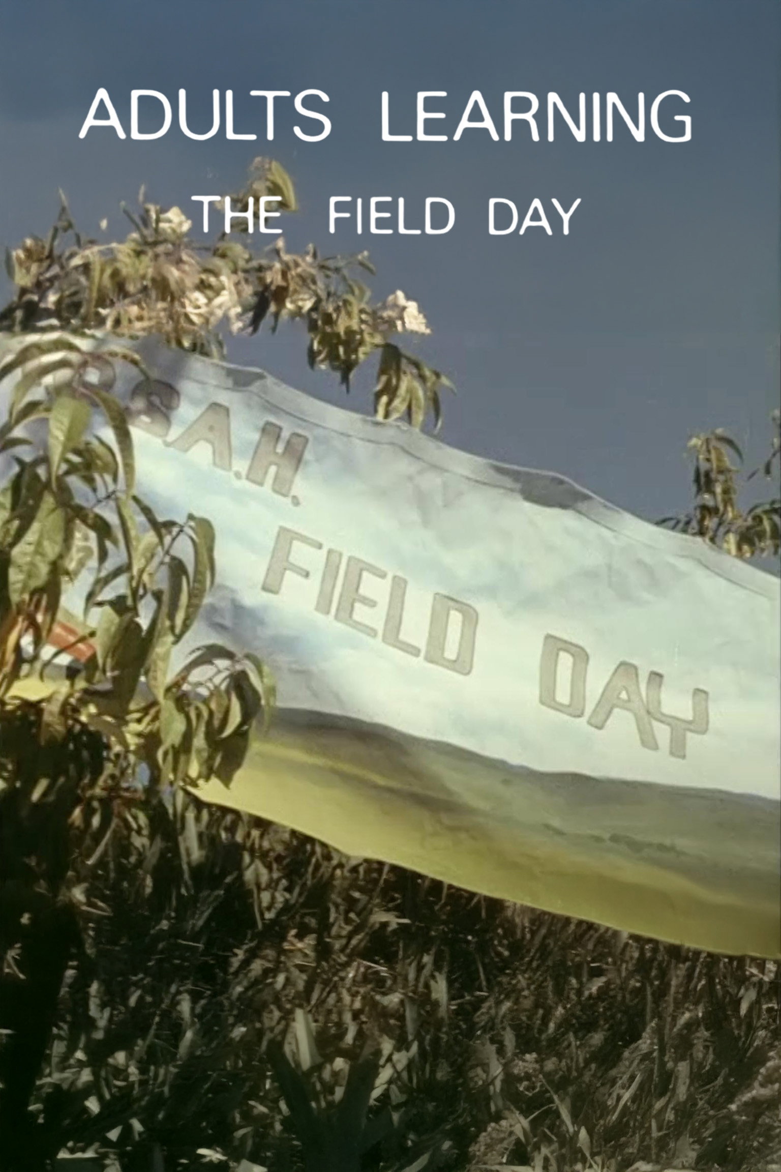 The Field Day