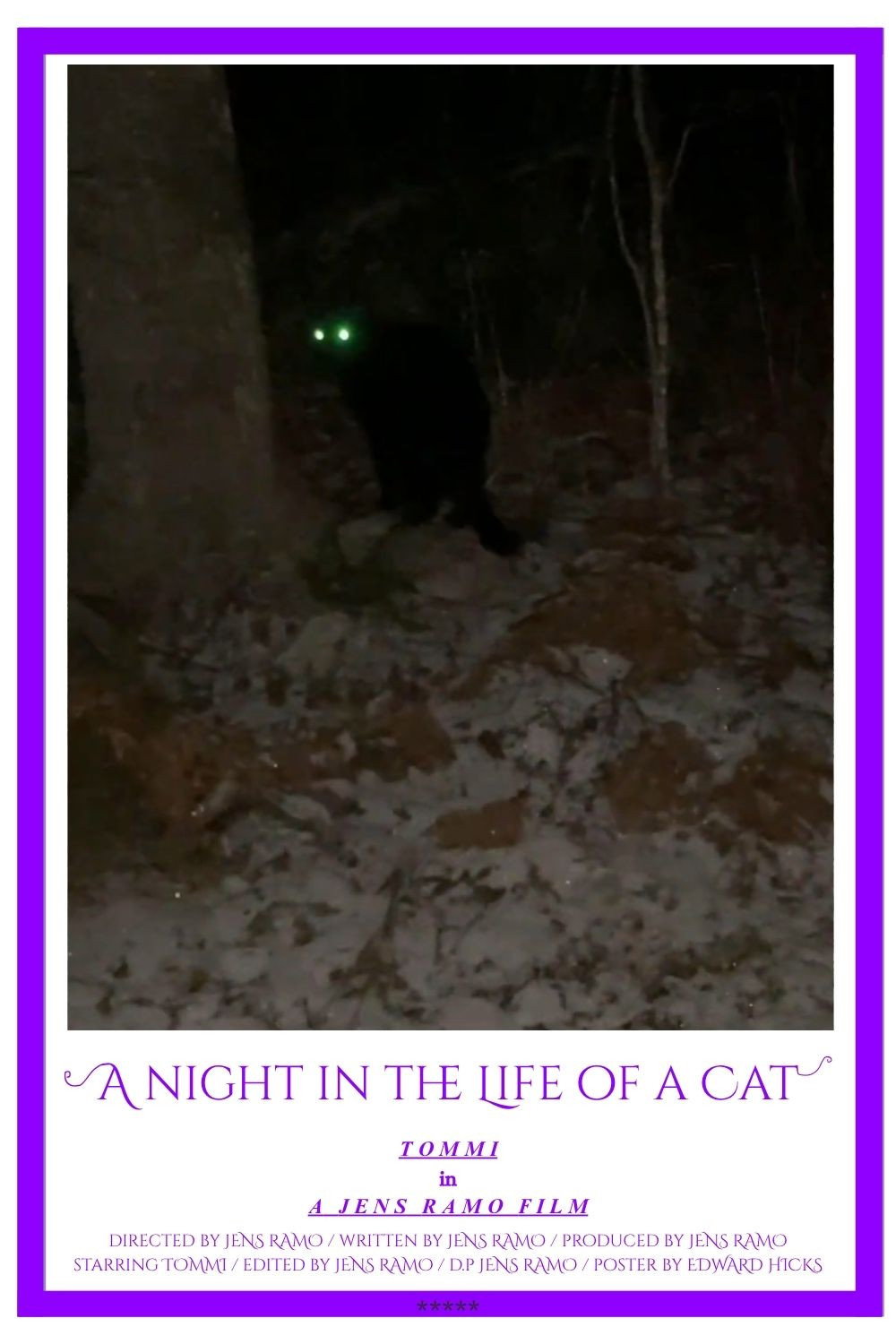 A Night in the Life of a Cat