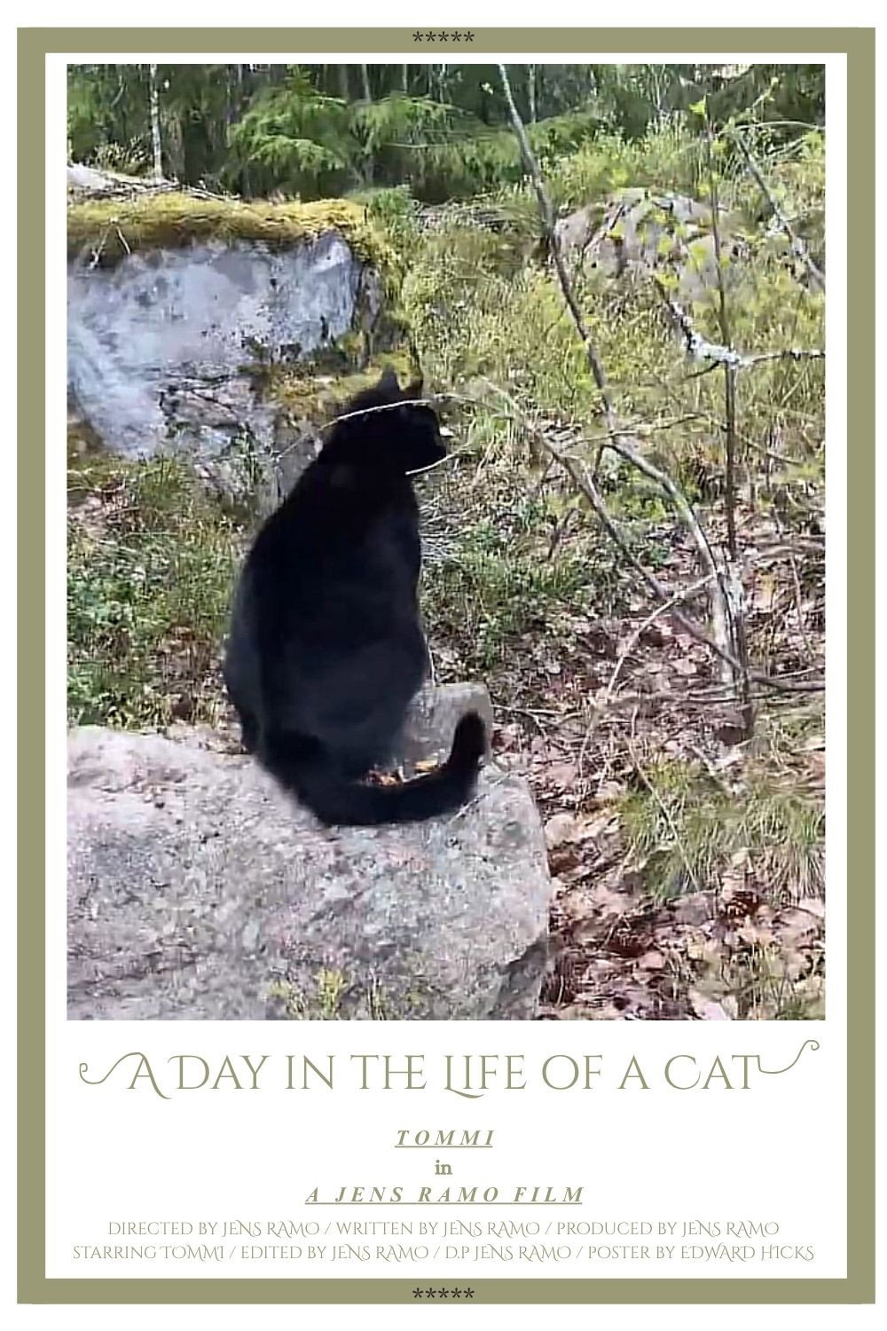 A Day in the Life of a Cat