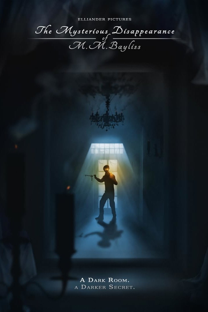 The Mysterious Disappearance of M.M.Bayliss