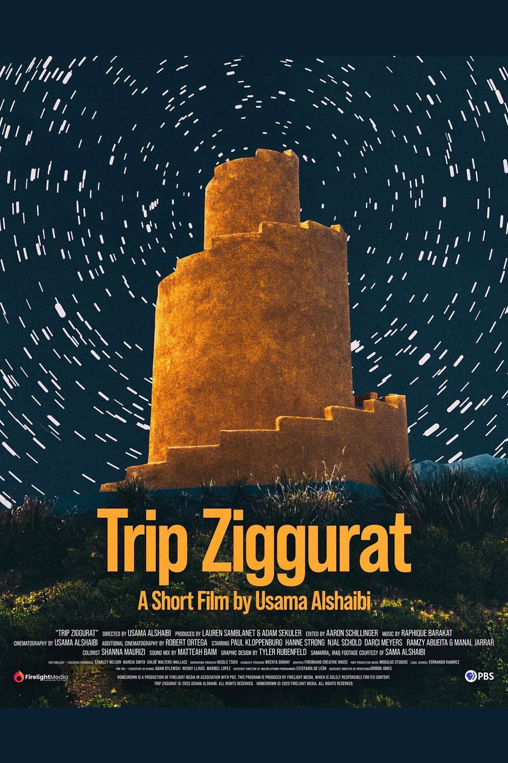 Trip Ziggurat