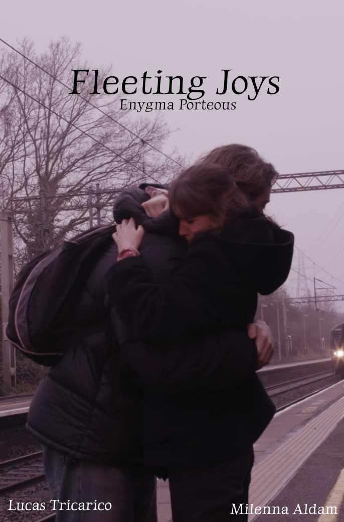 Fleeting Joys