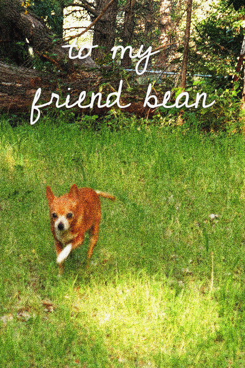 To My Friend Bean