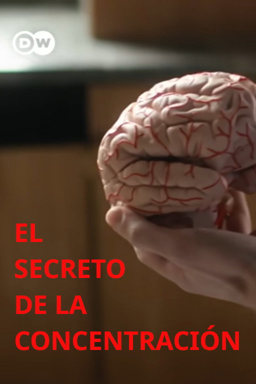 The secret of concentration