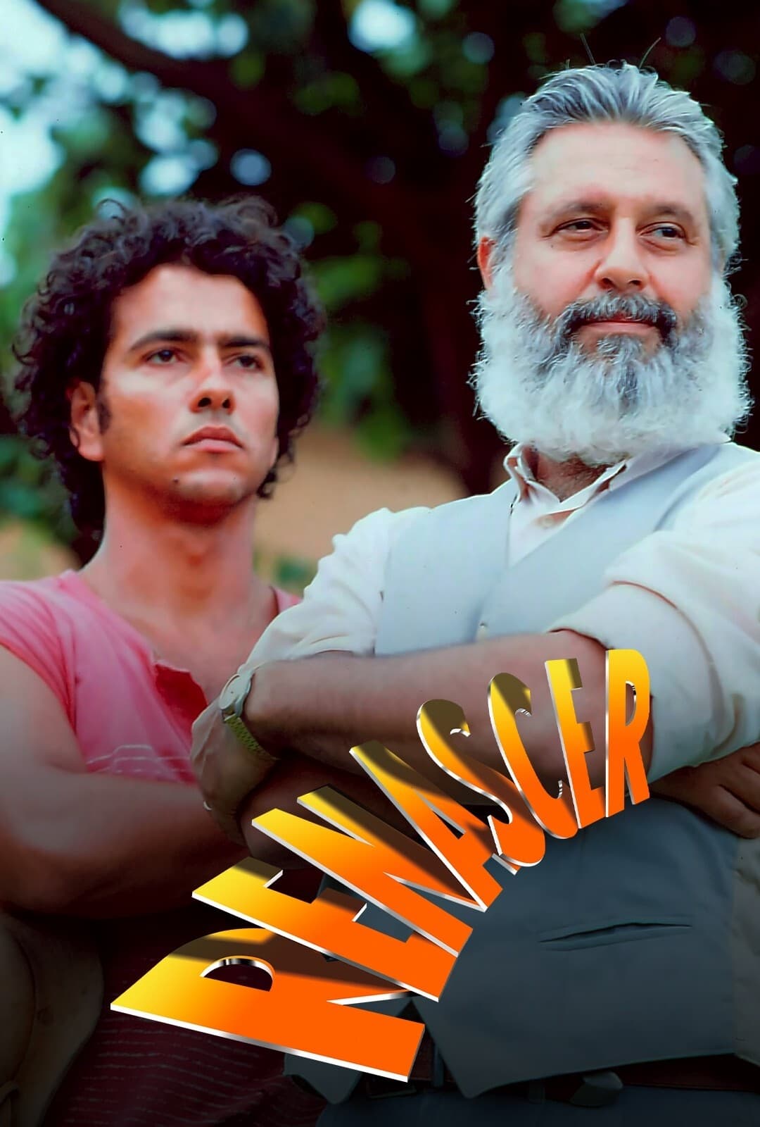 Jequitibá
