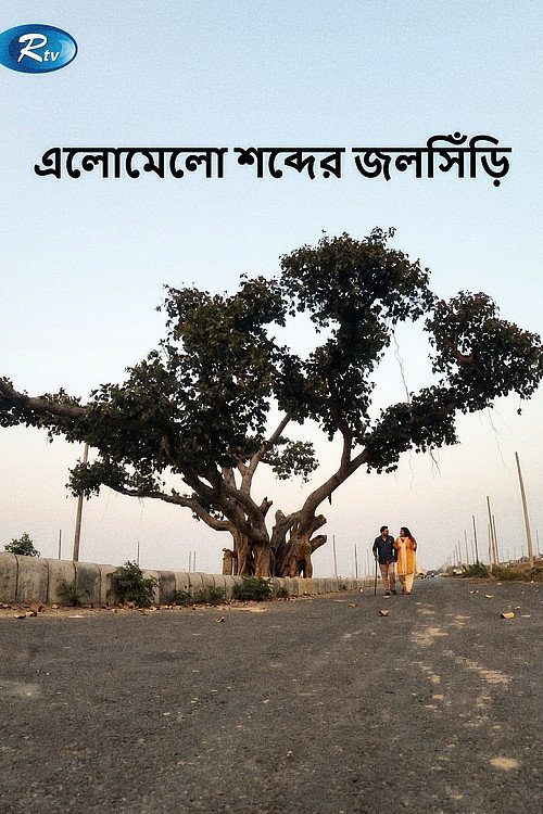 এলোমেলো শব্দের জলসিড়ি