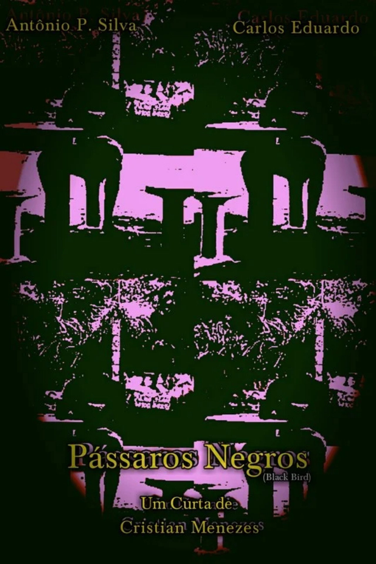 Pássaros Negros