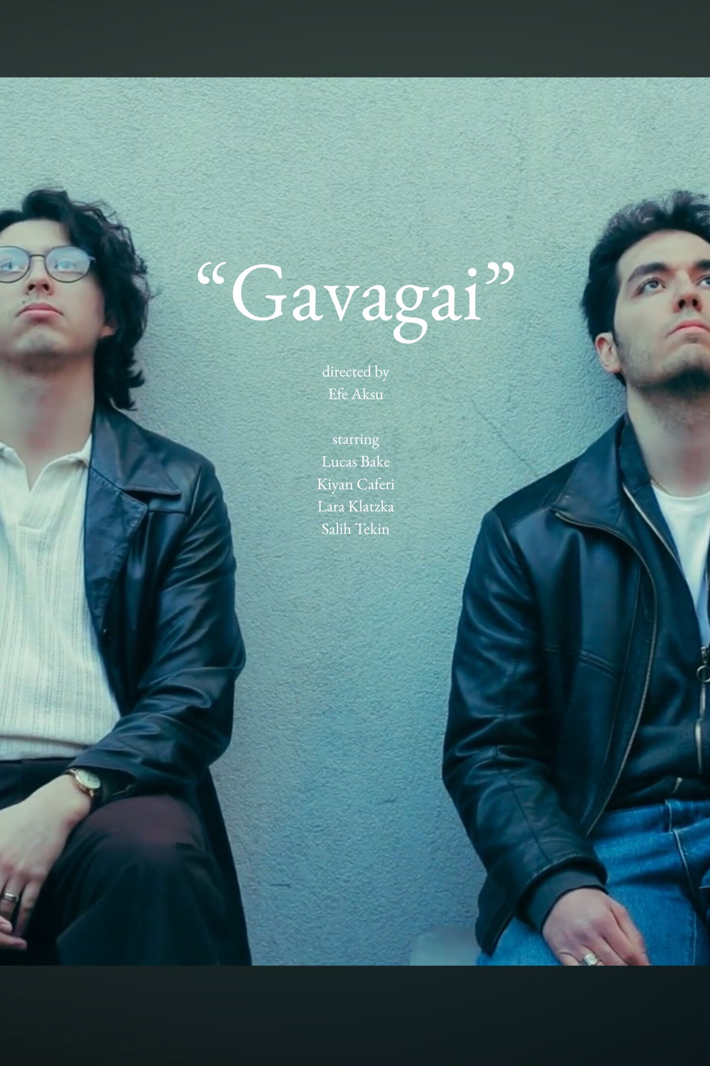 Gavagai