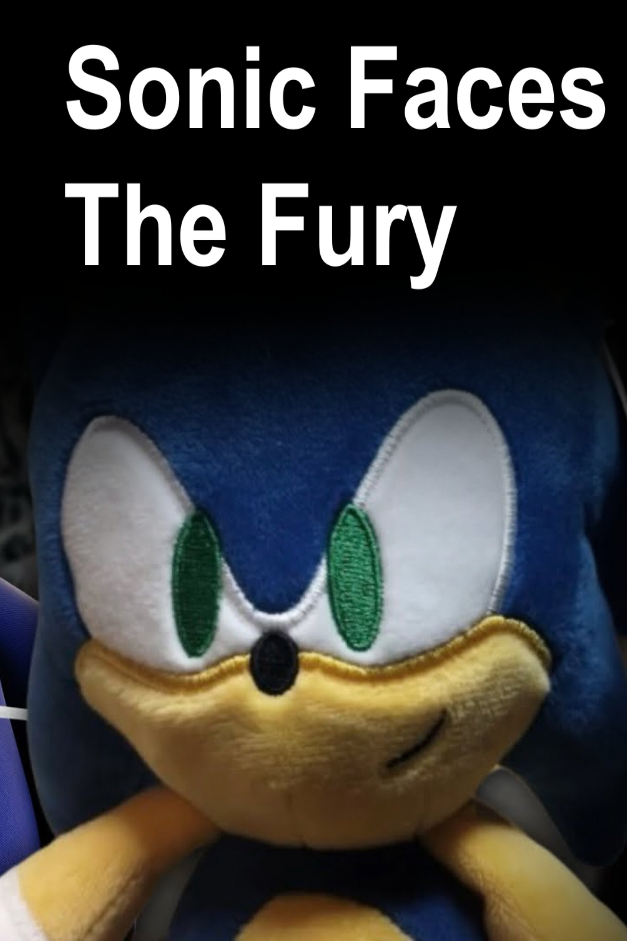 Sonic Faces The Fury