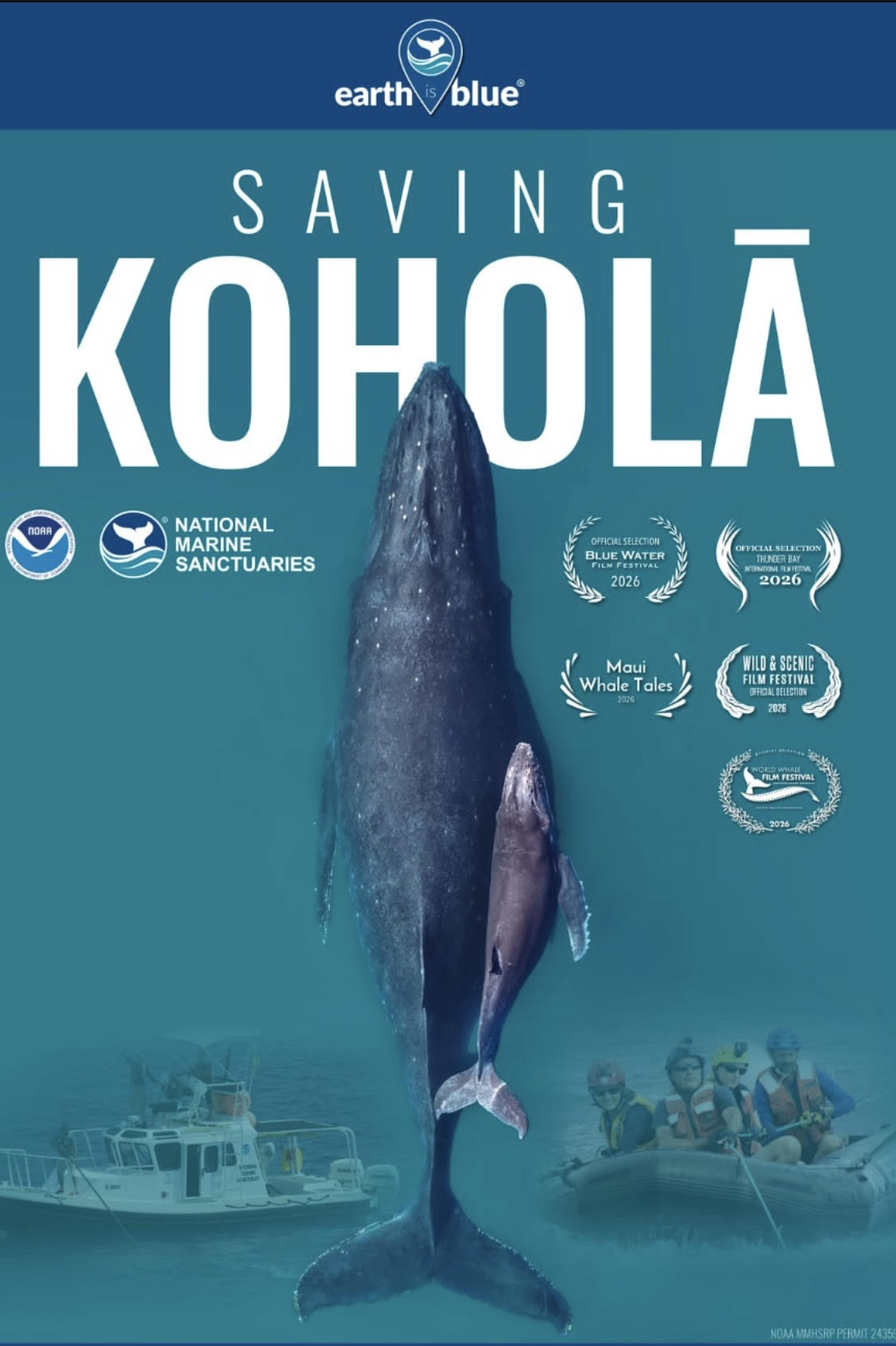 Stories from the Blue: Saving Koholā