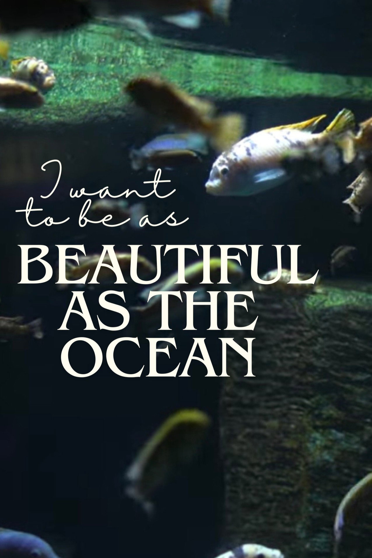 I Want to be as Beautiful as the Ocean