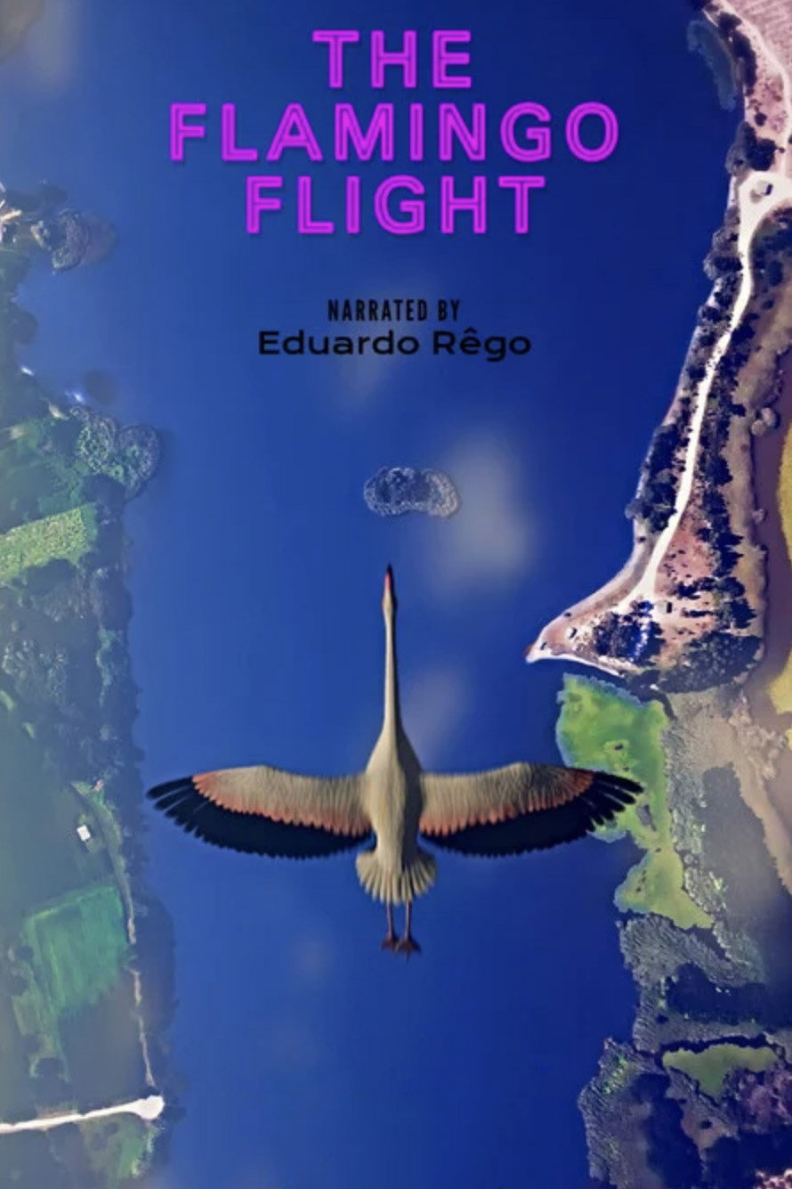 O Voo do Flamingo