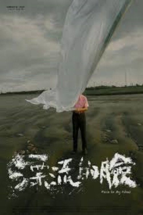 漂流的臉