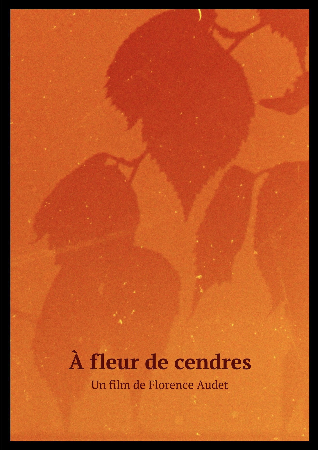 À fleur de cendres