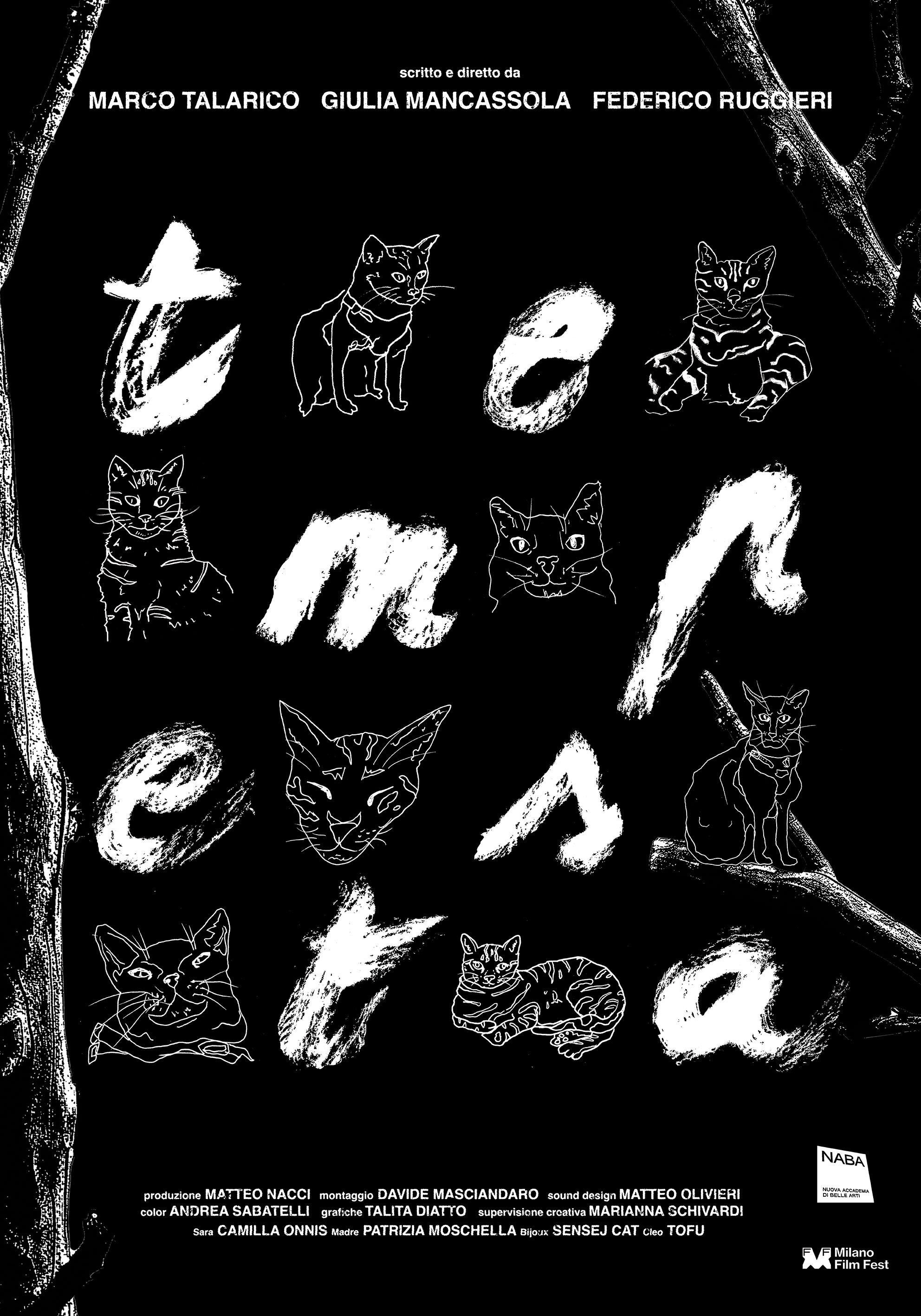 TEMPESTA