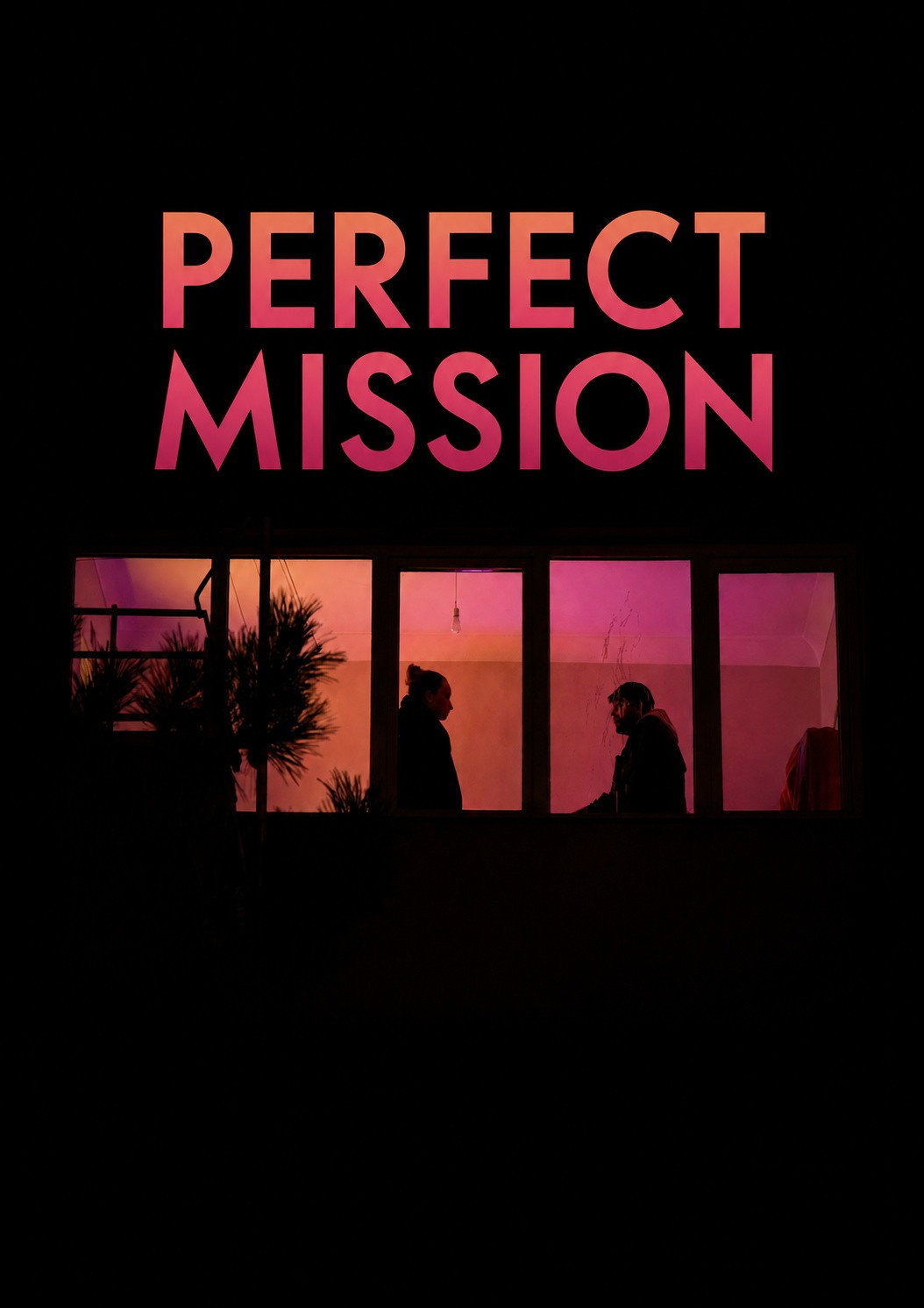 Perfect Mission