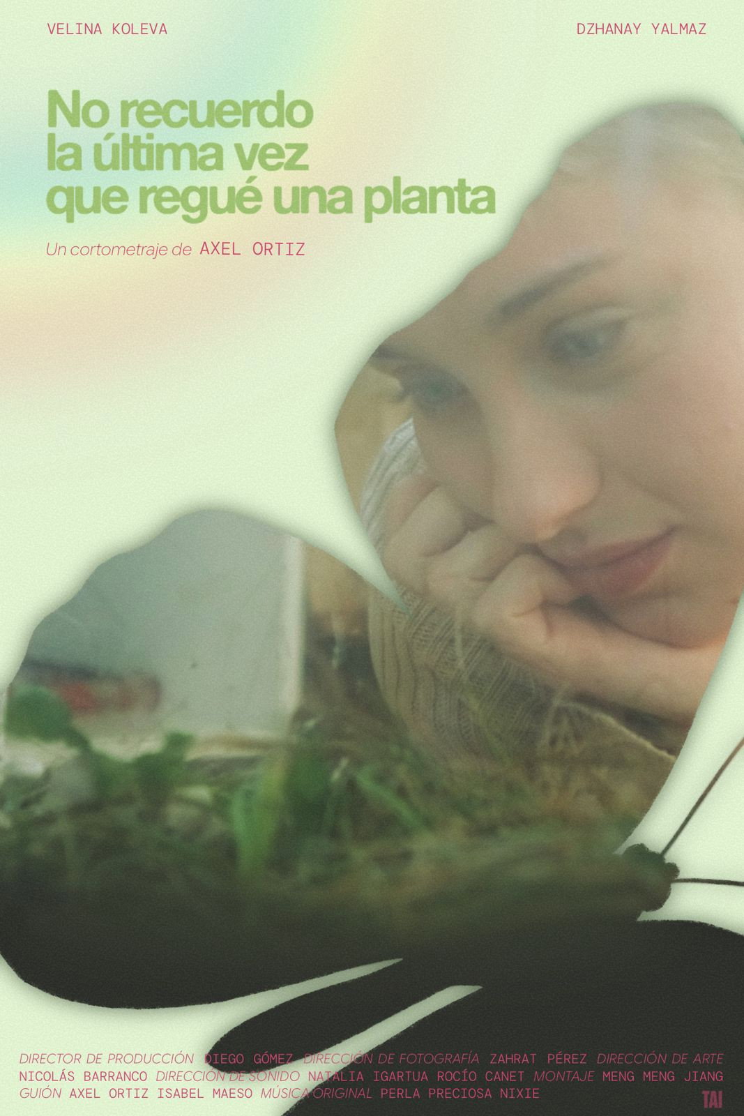 No recuerdo la última vez que regué una planta