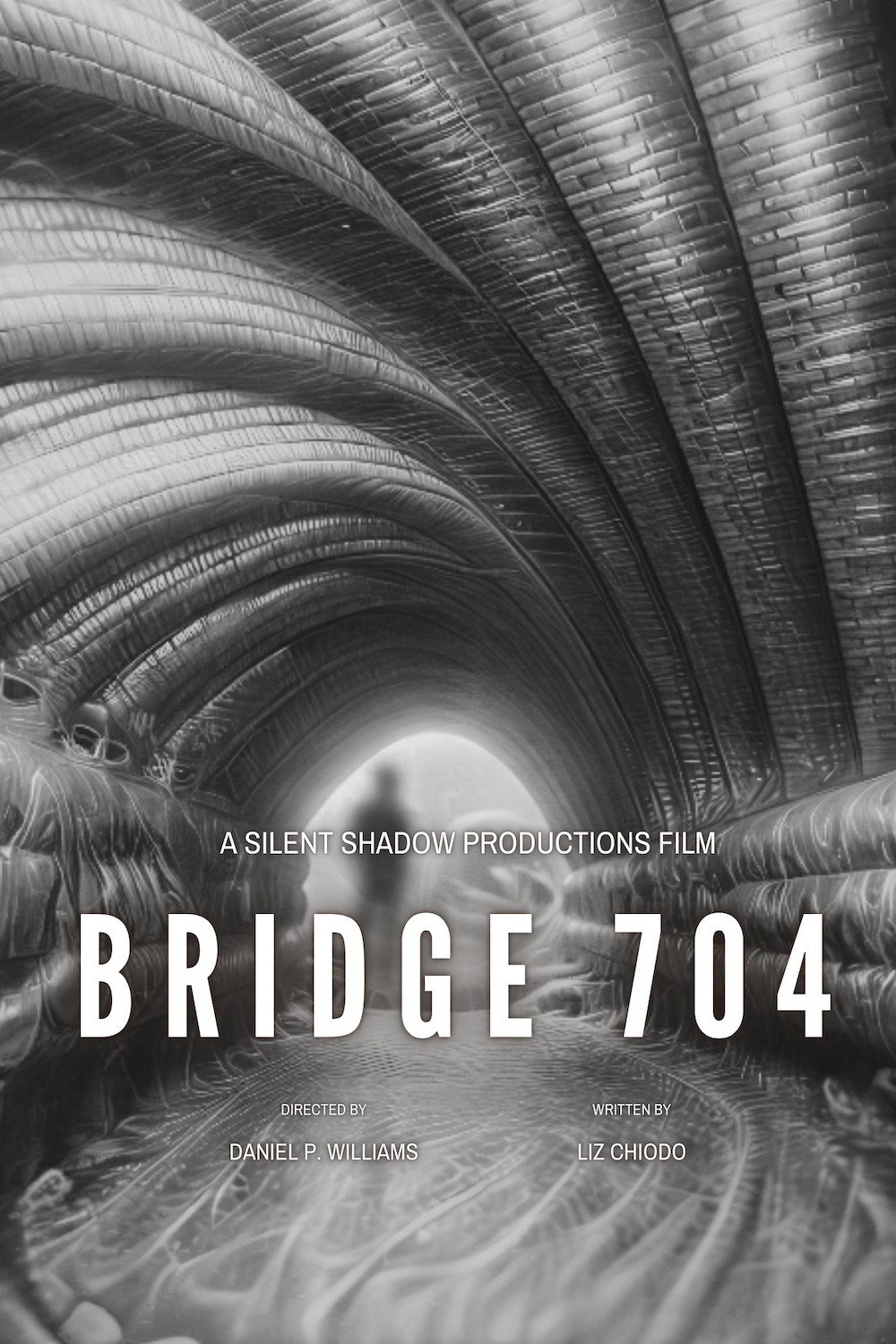 Bridge 704