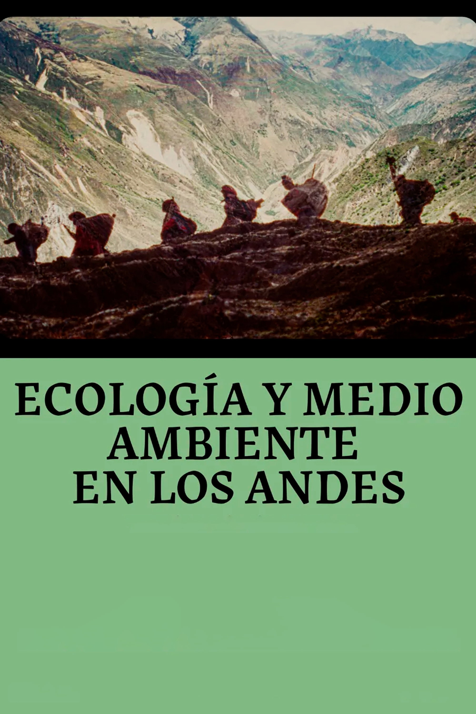 Ecología y Medio Ambiente en los Andes