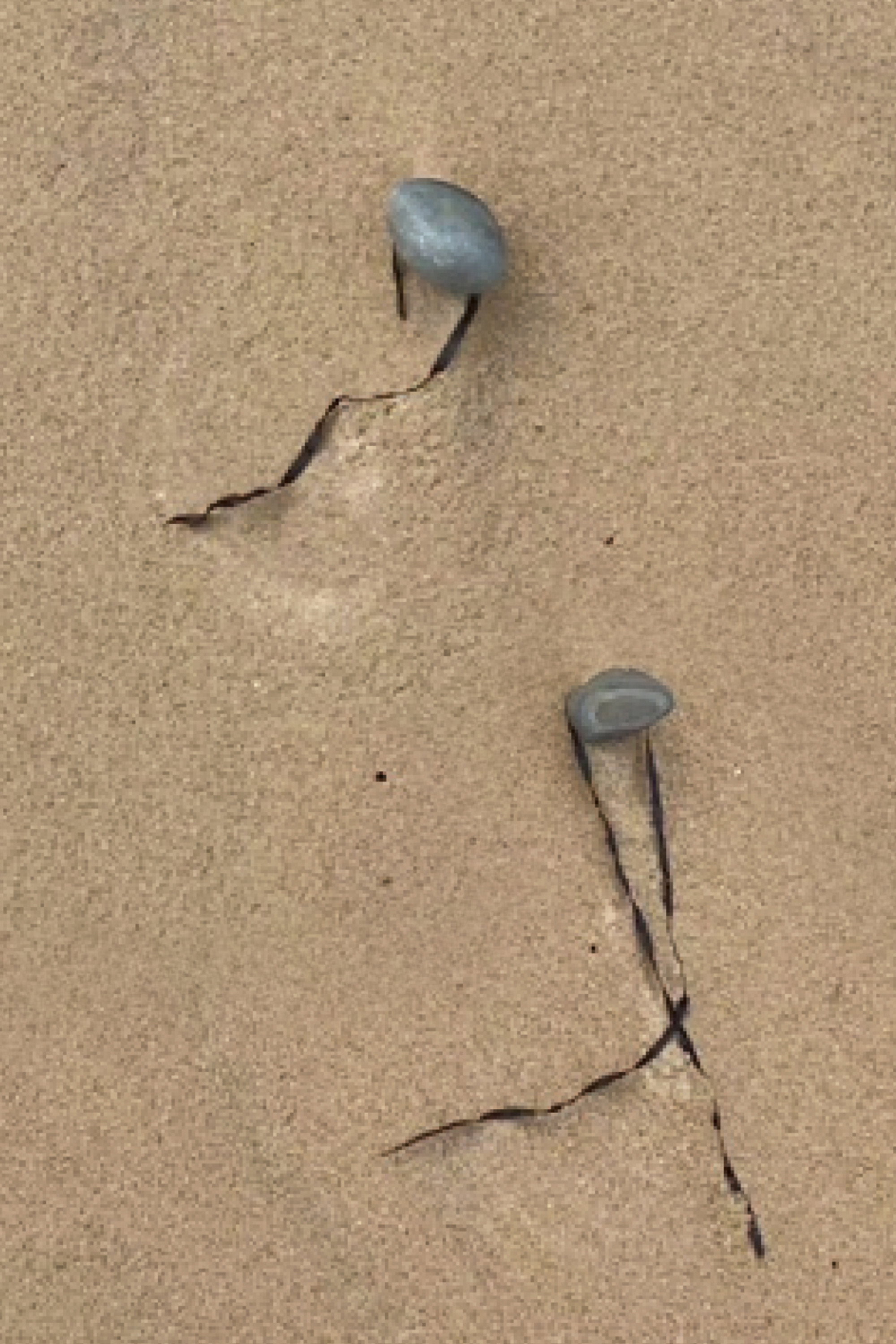 Double act