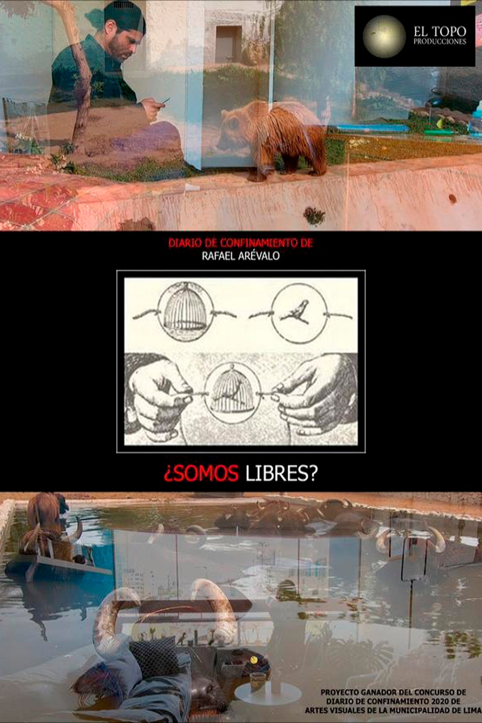 ¿Somos libres?