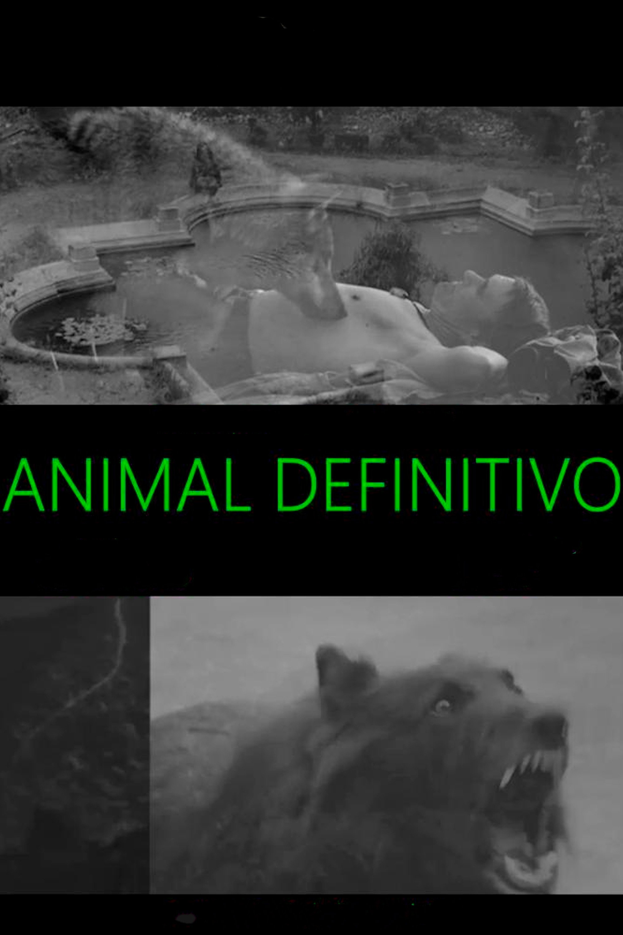 Animal Definitivo