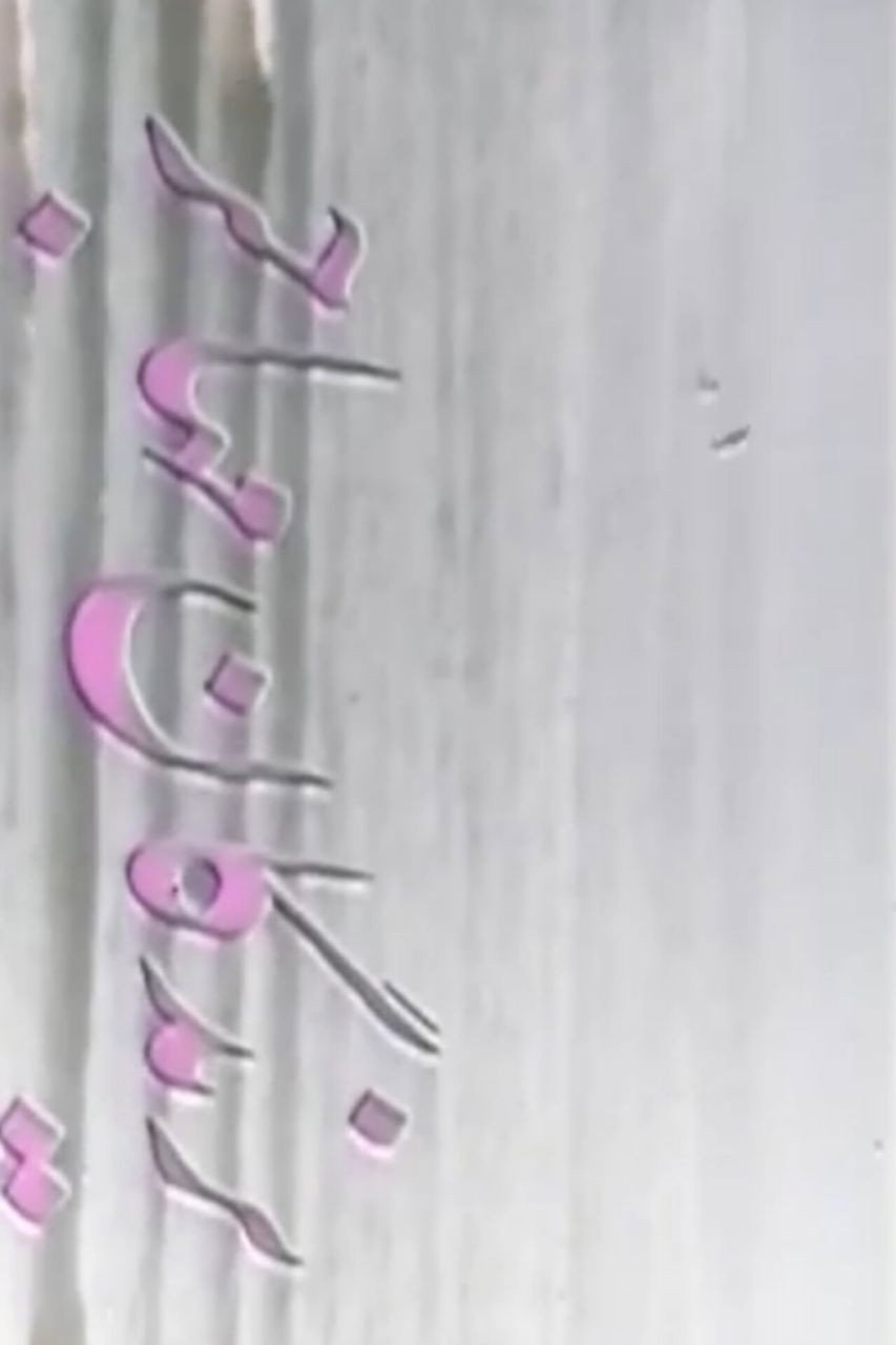 پرندگان مهاجر