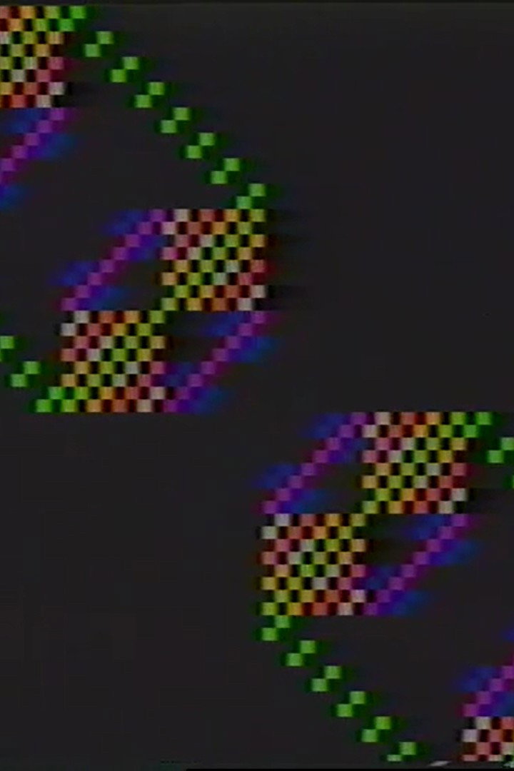 Fractal II